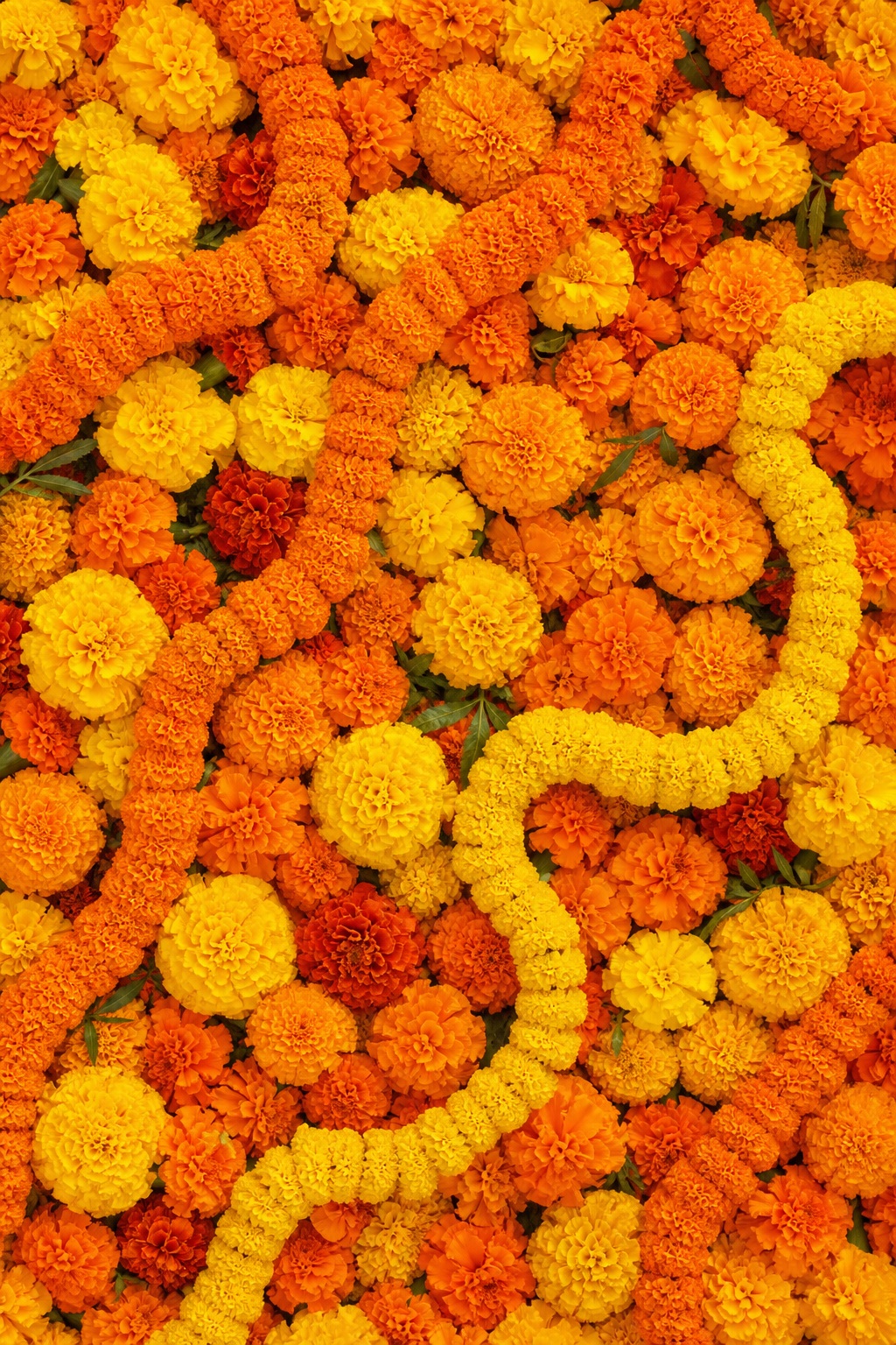 Preview for Orange Marigold Flower Garland Background