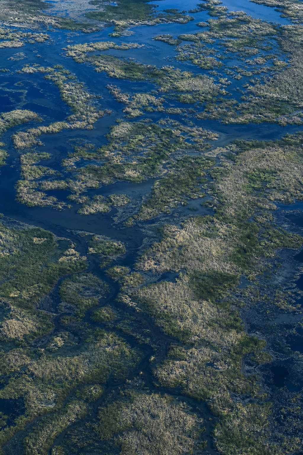 Aerial view of river delta marsh pools and winding water channels in blue hour light.