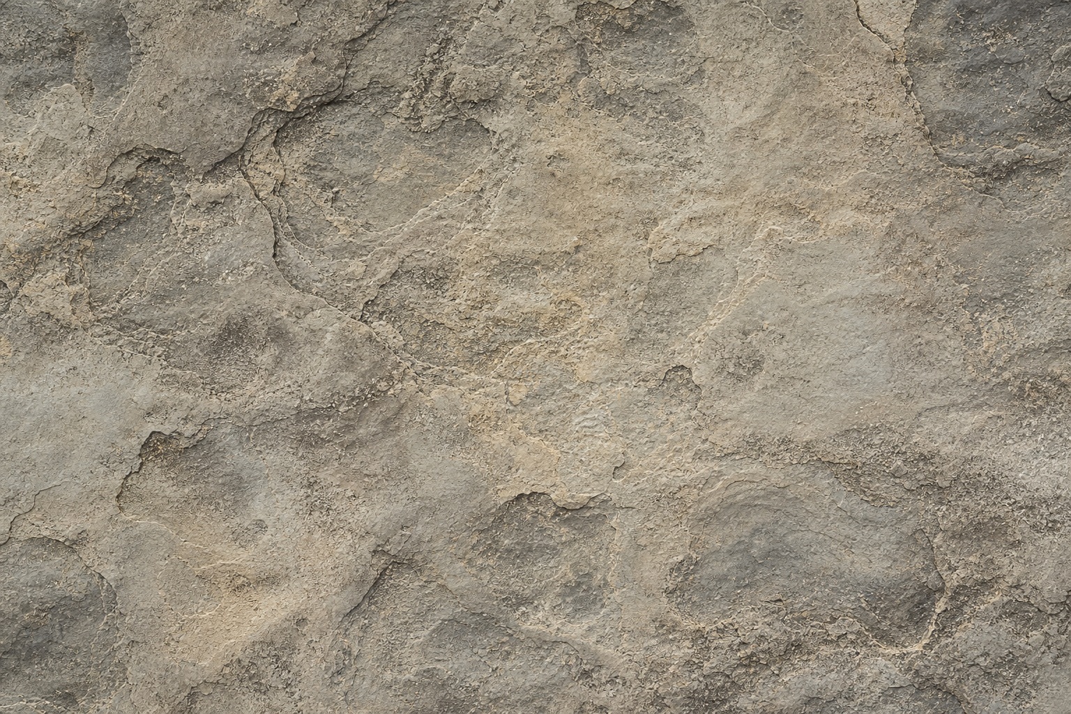 Preview for Warm Gray Eroded Stone Texture Background