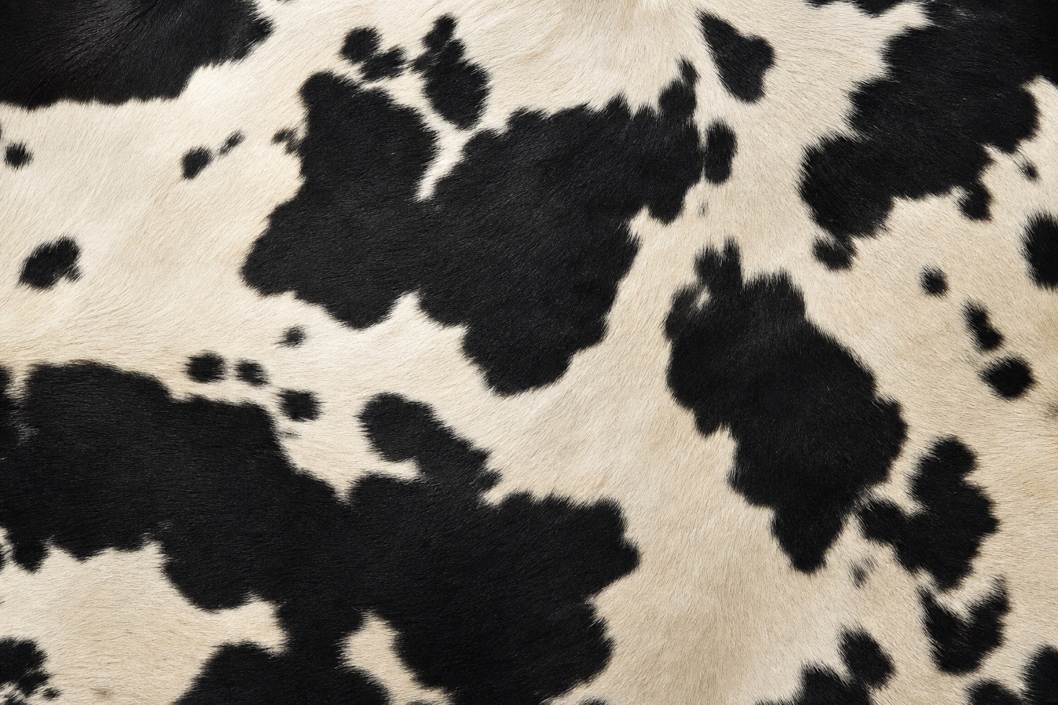 Preview for Black And White Cowhide Background