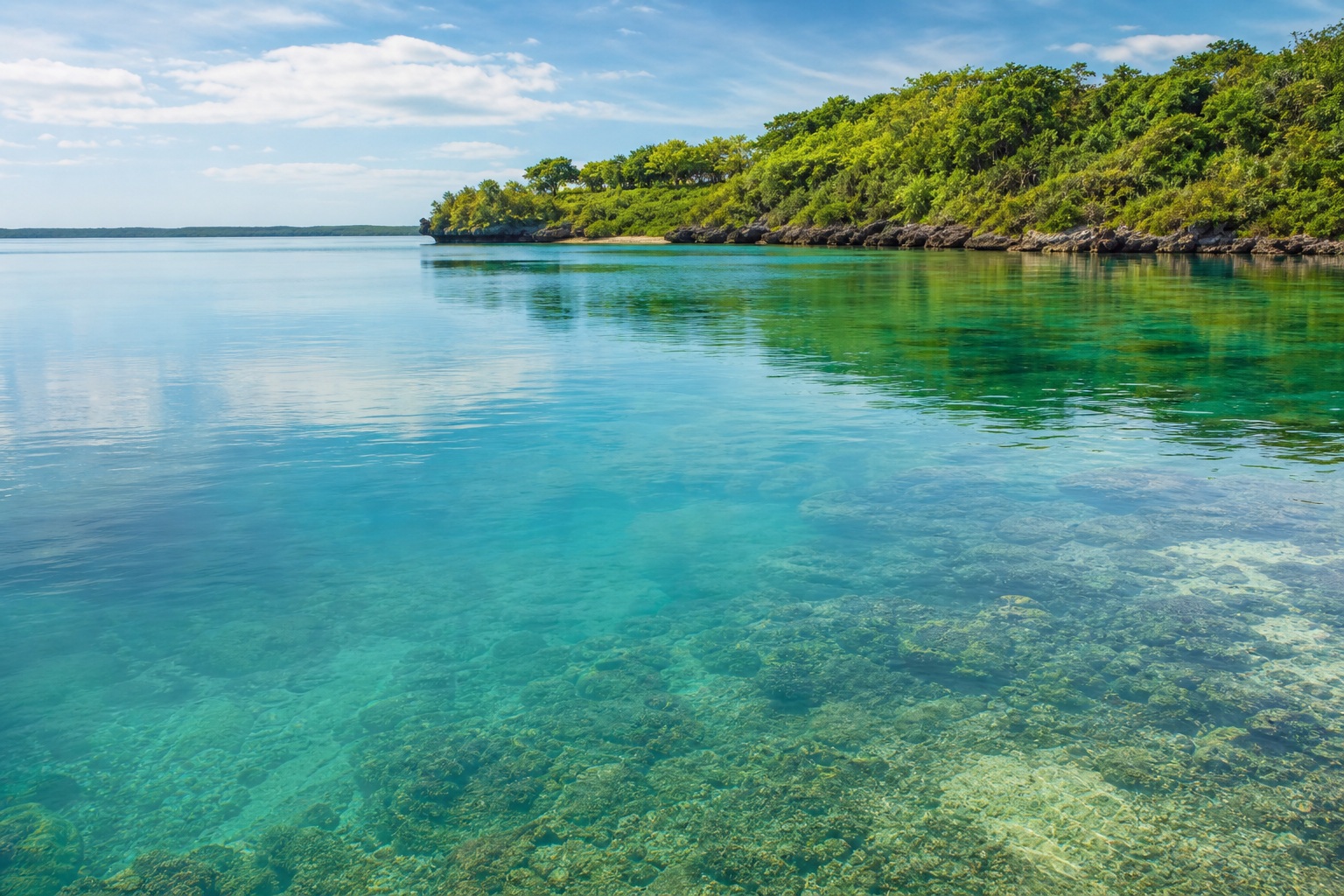 Clear turquoise lagoon beside a green shoreline under a bright sky.