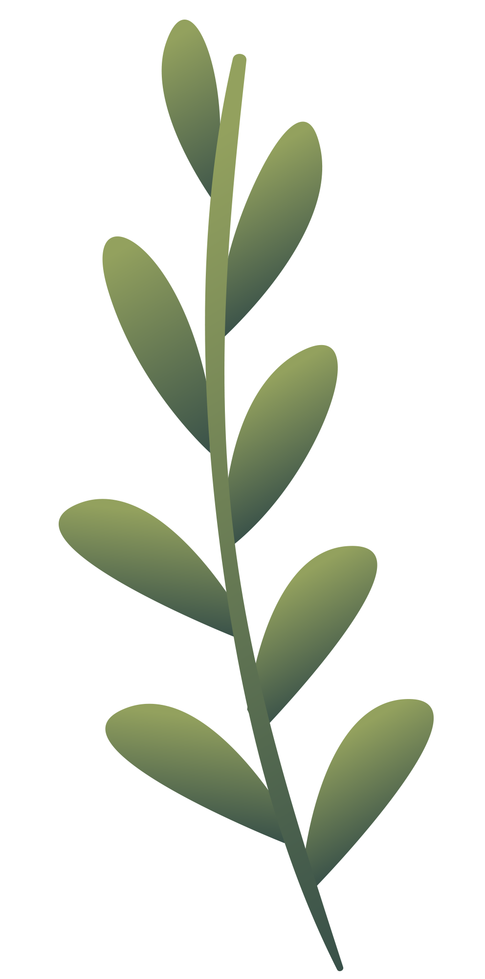 Preview for Green-leaf-illustration-holiday-design-sticker-c6587