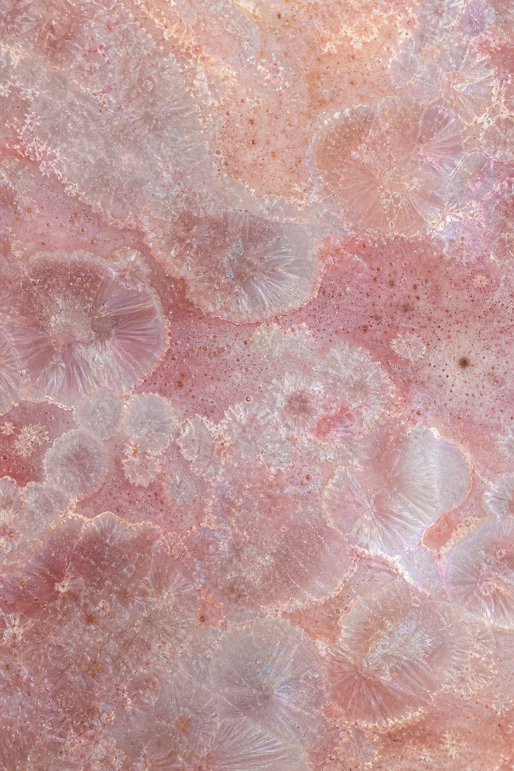 Preview for Rose Pearl Crystalline Kiln Bloom Background