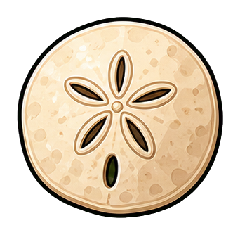 Preview for Sand Dollar Sticker