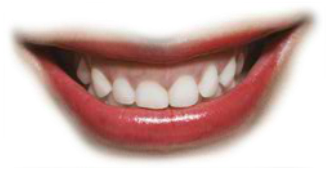 Preview for Smiling-teeth-image-mouths-sticker-01946
