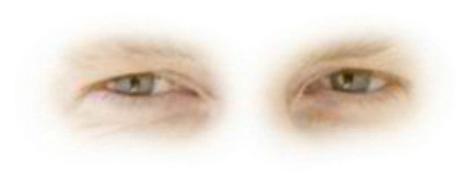 Preview for Close-up-eyes-image-sticker-e5b2c