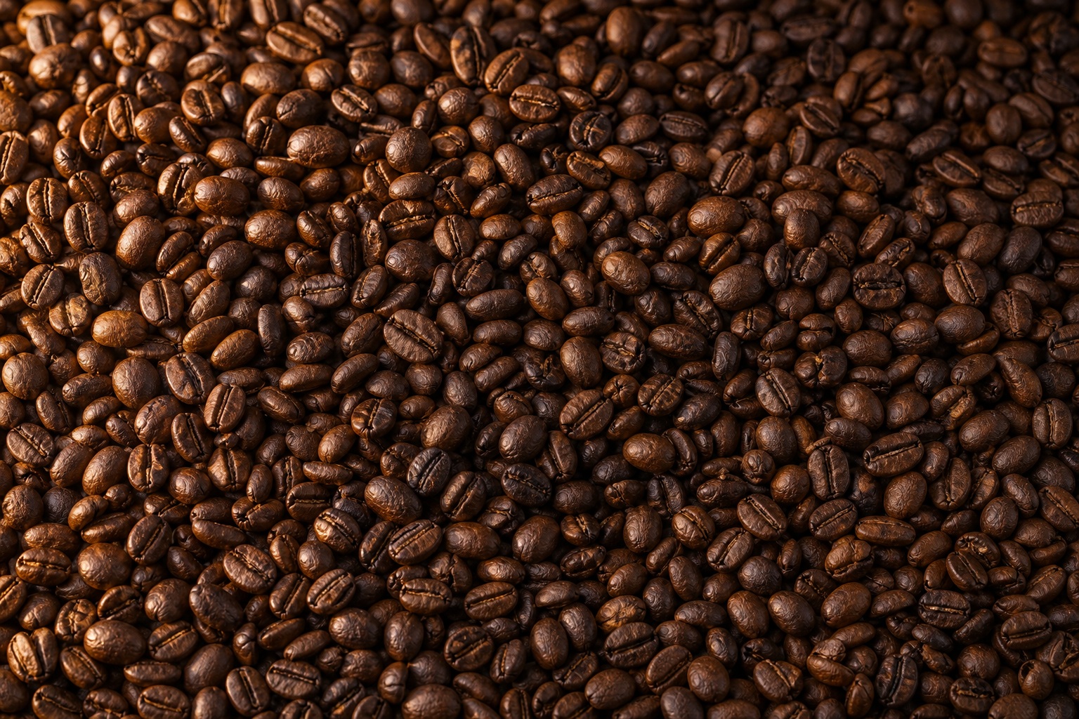 Preview for Roasted Coffee Beans Background