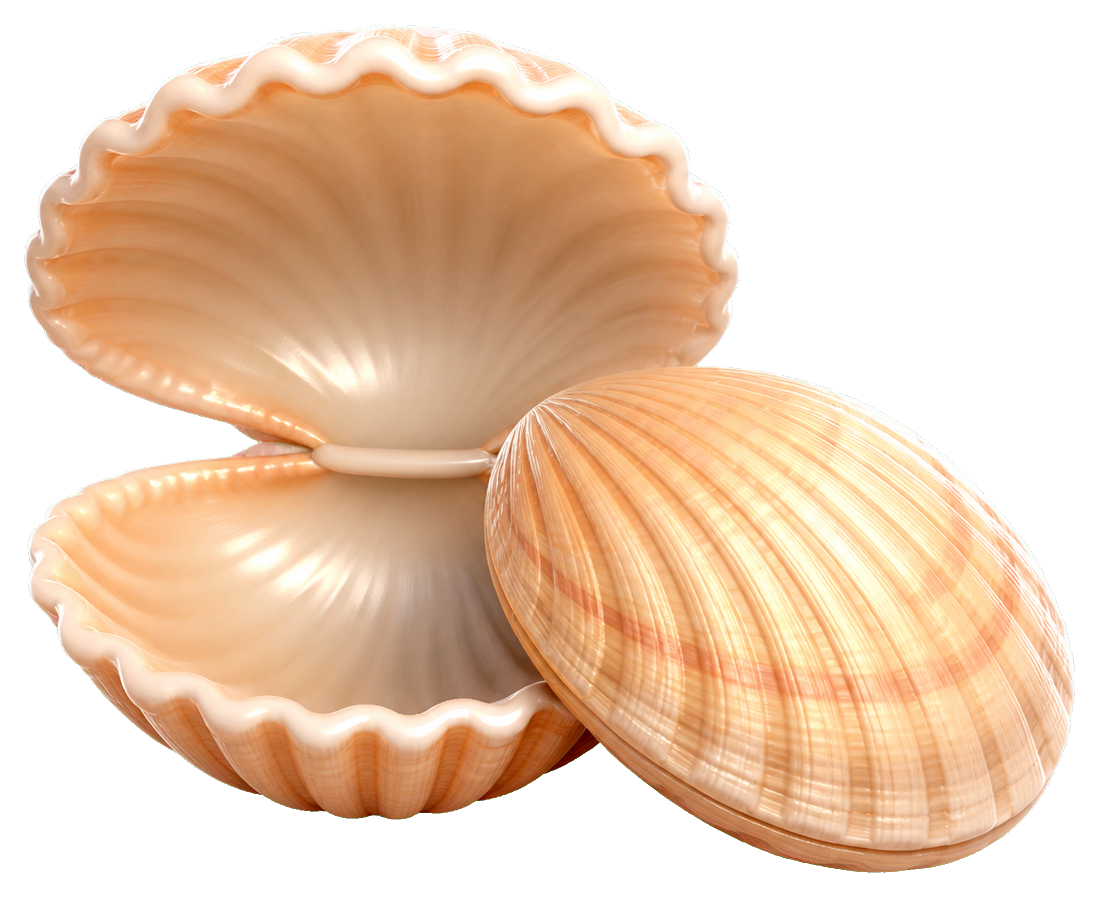 Preview for Clam Shell Pair Sticker