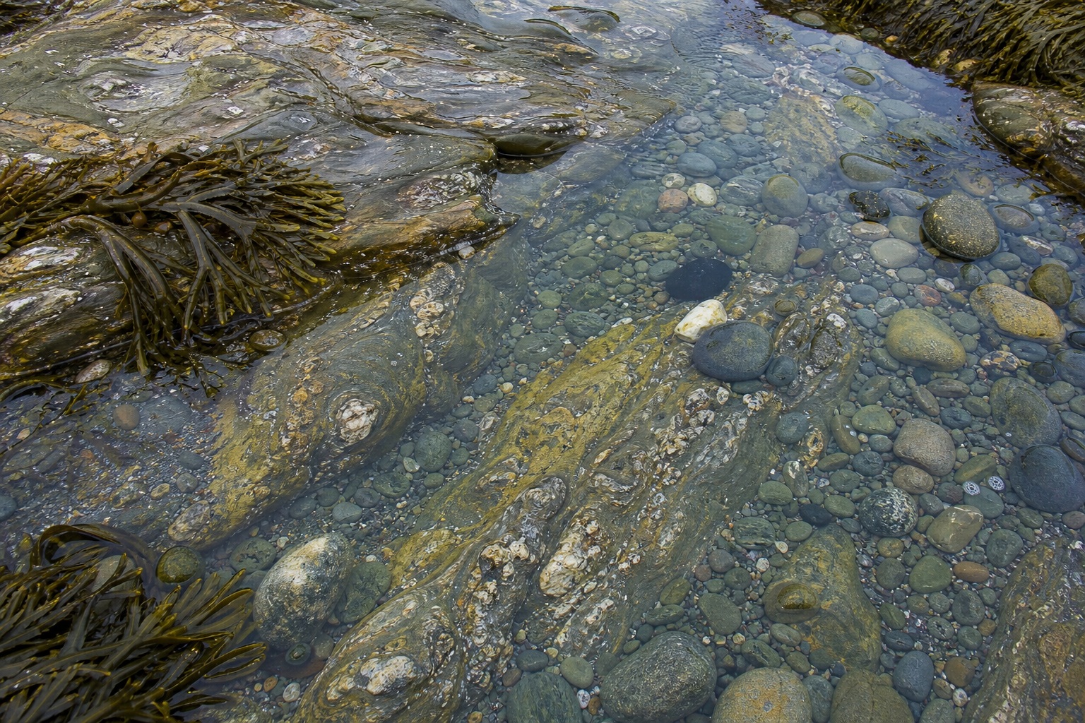 Preview for Bright Overcast Pebble Pool Background