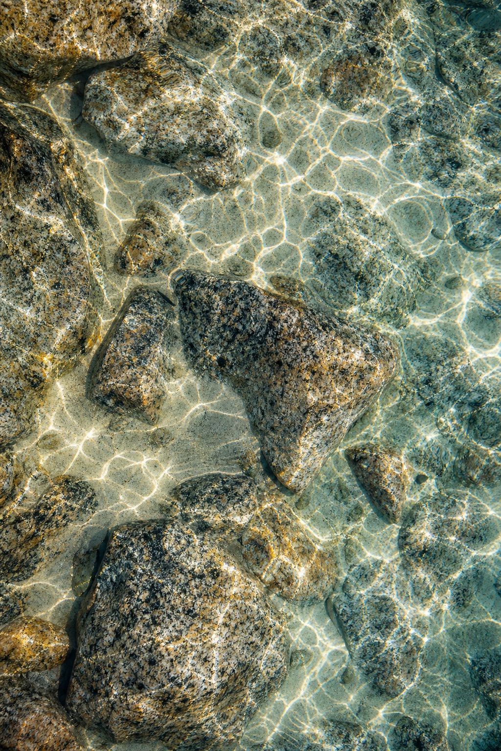 Preview for Tidal Pool Texture Background