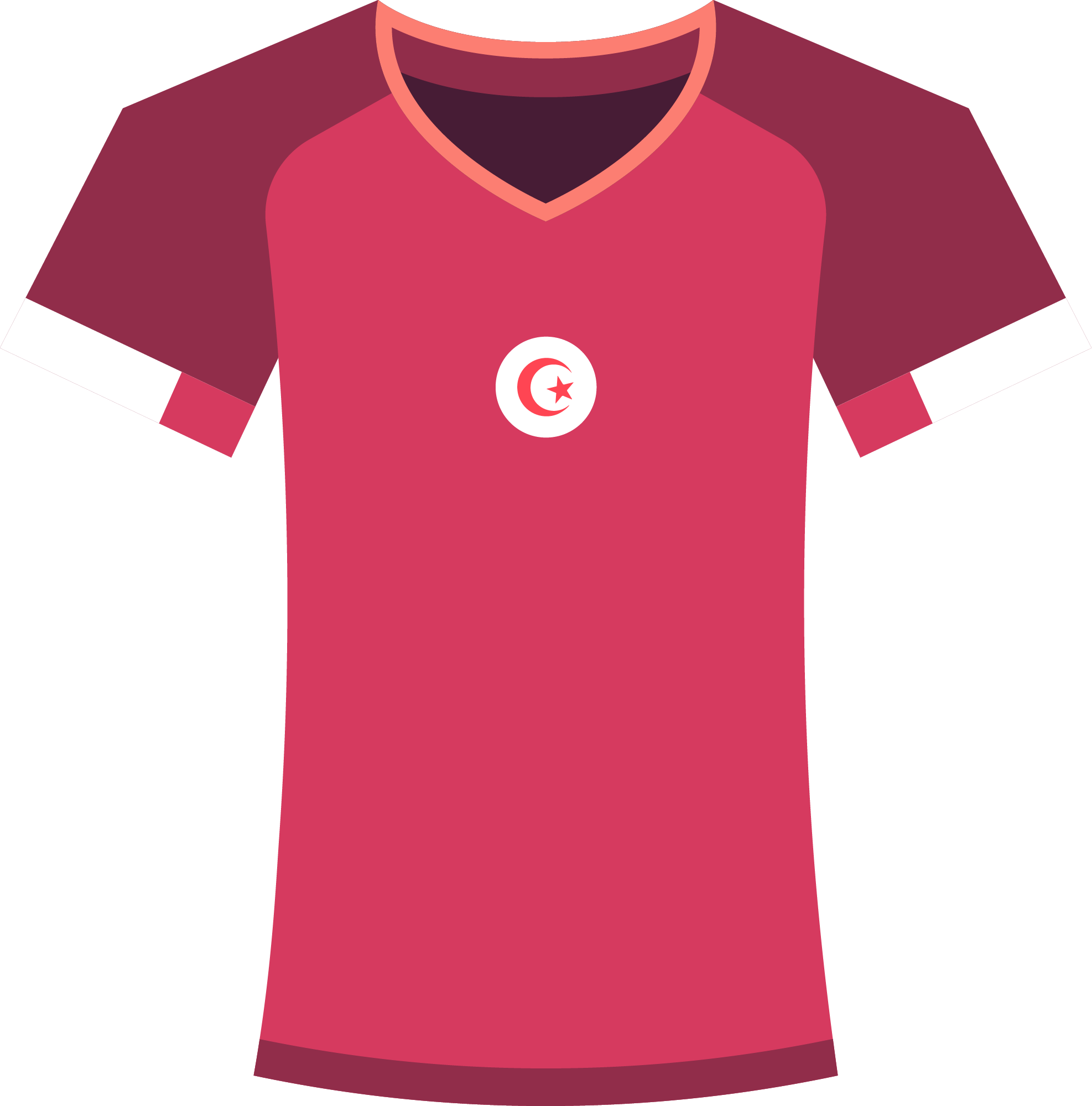 Preview for Tunisia-football-jersey-design-world-cup-sticker-e14bd