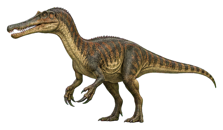 Realistic Baryonyx dinosaur standing in side view with long tail and clawed forelimbs.