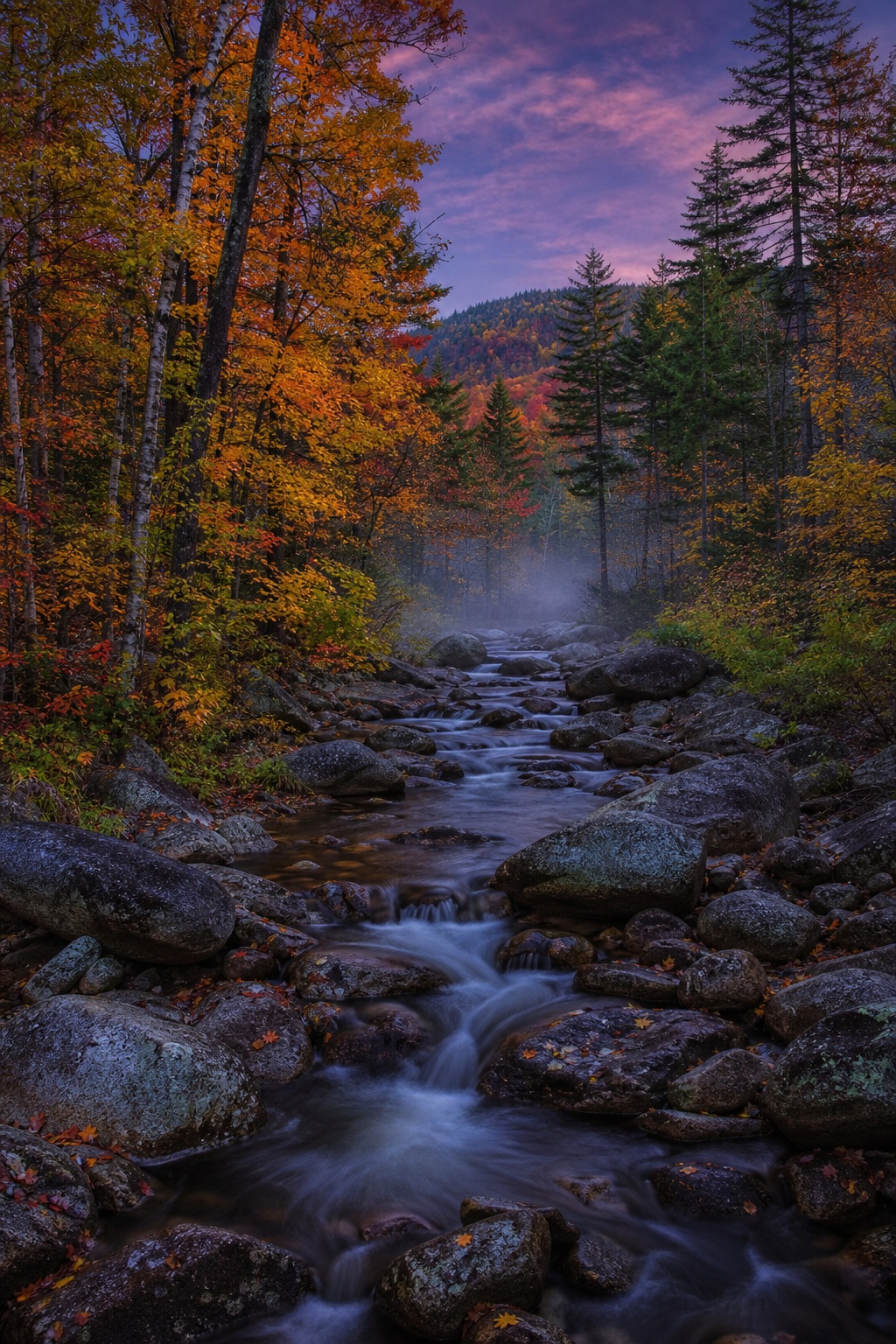 Rocky stream flowing through a forest of colorful fall foliage at twilight.