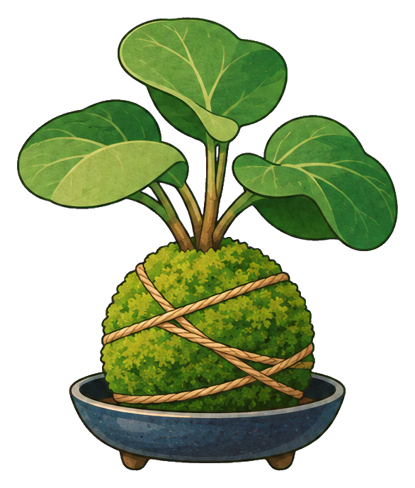 Preview for Kokedama Bonsai