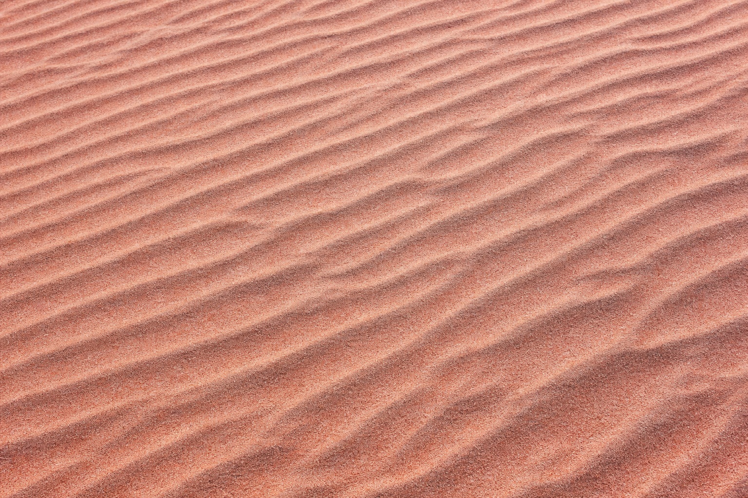 Preview for Rose Desert Sand Ripple Background