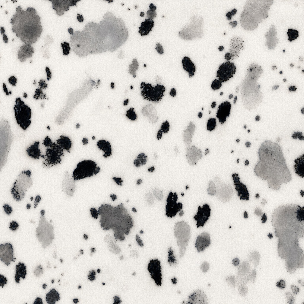 Preview for Black And White Speckled Texture Background