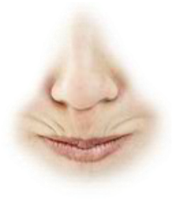 Preview for Glitch-art-face-distortion-mouths-sticker-e7e31