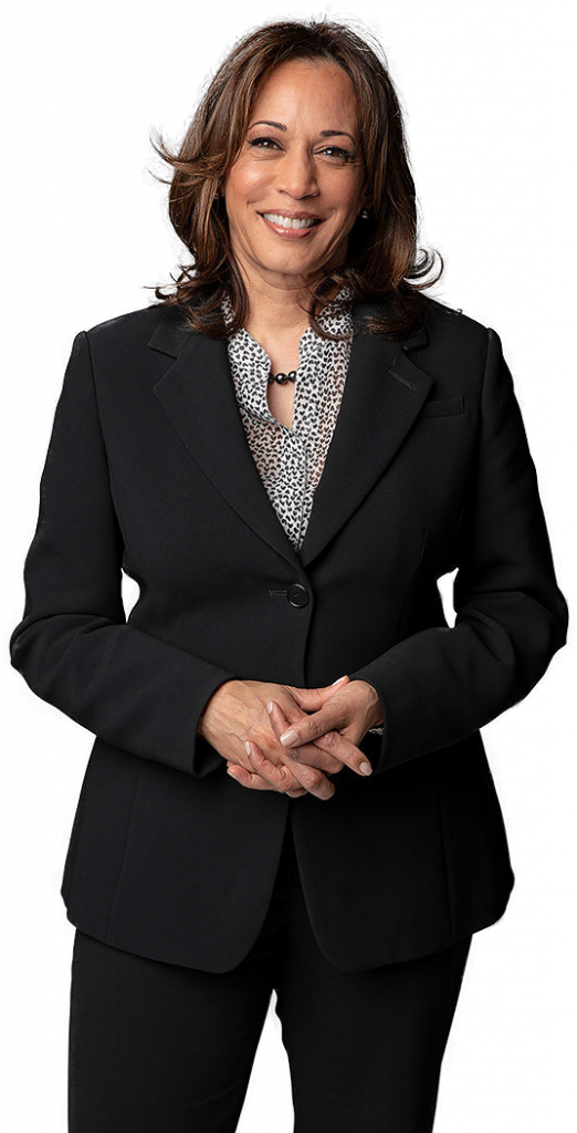 Preview for Professional-businesswoman-portrait-election-2024-sticker-295f9