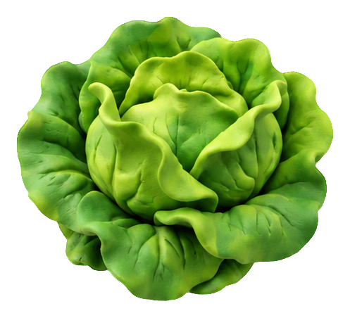 Preview for Clay Garden Vegetables Lettuce