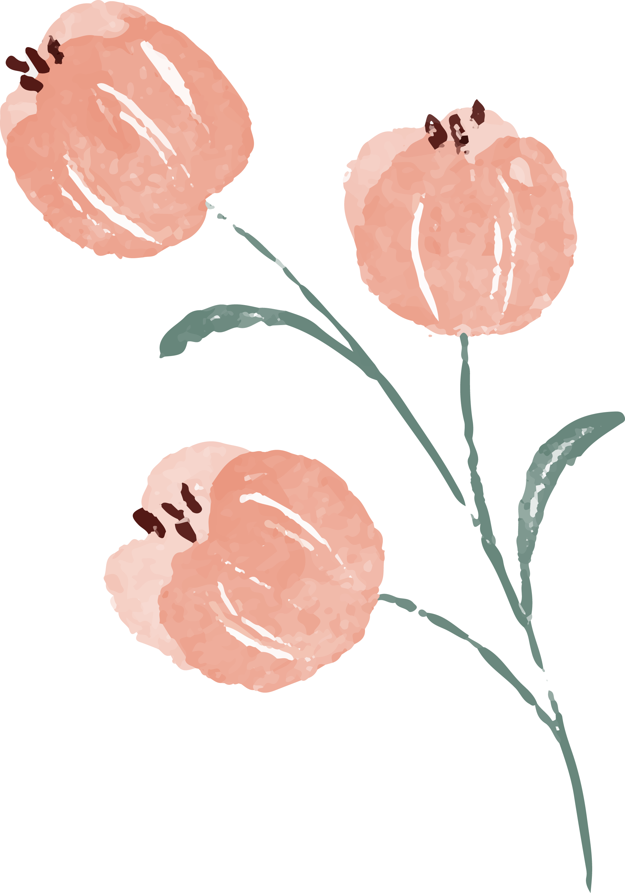 Preview for Pink-floral-illustration-spring-sticker-d386e