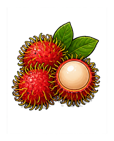 Preview for Rambutan Fruit Sticker