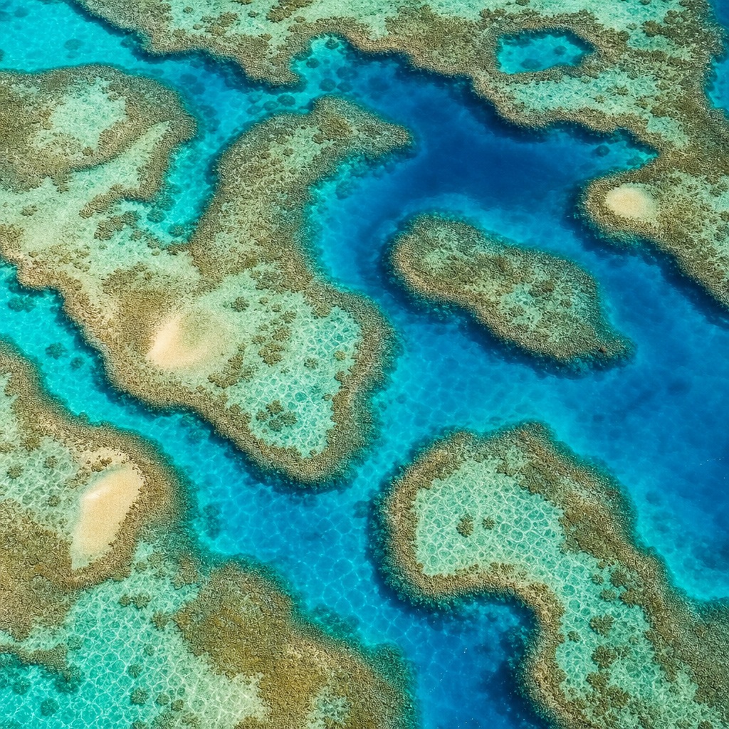 Top-down aerial view of coral reef shelves and channels in turquoise ocean water.