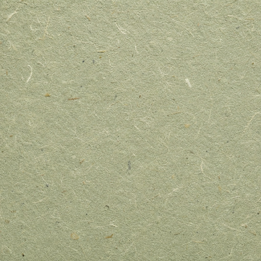 Muted green recycled paper texture with subtle fiber specks