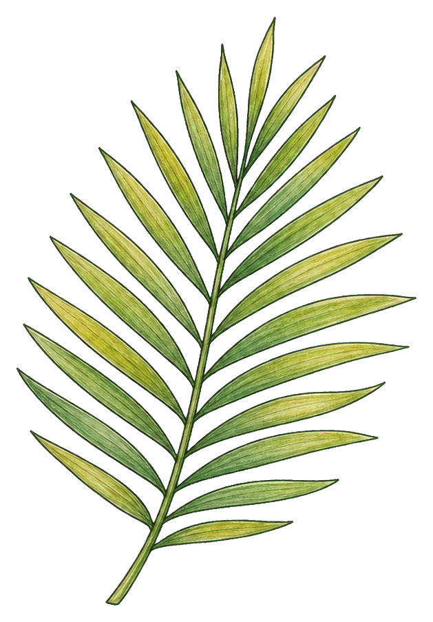 Preview for Palm Frond Sticker