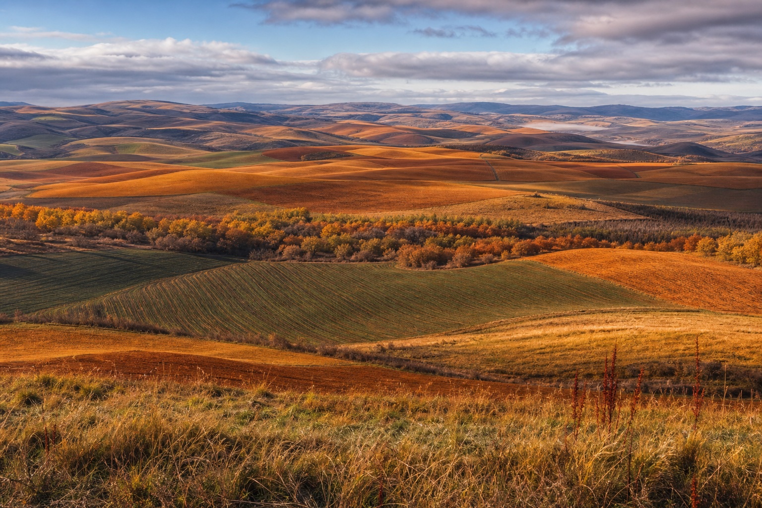Preview for Elevated Farmland View Stock Background