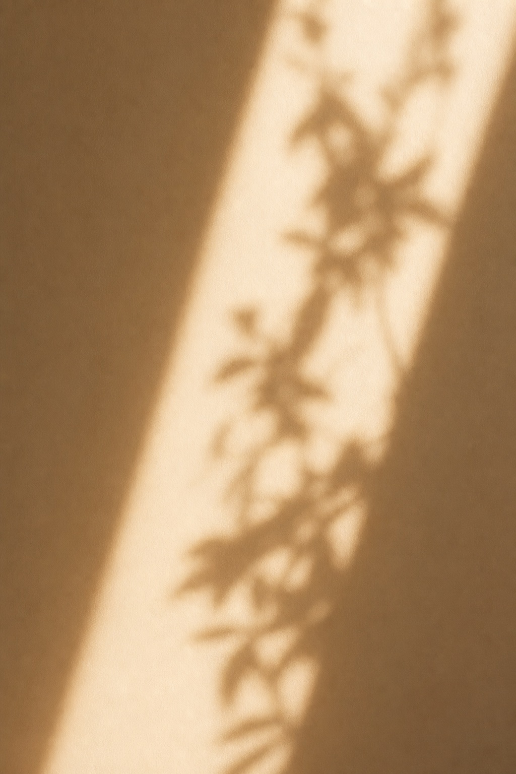 Preview for Vertical Warm Shadow Background