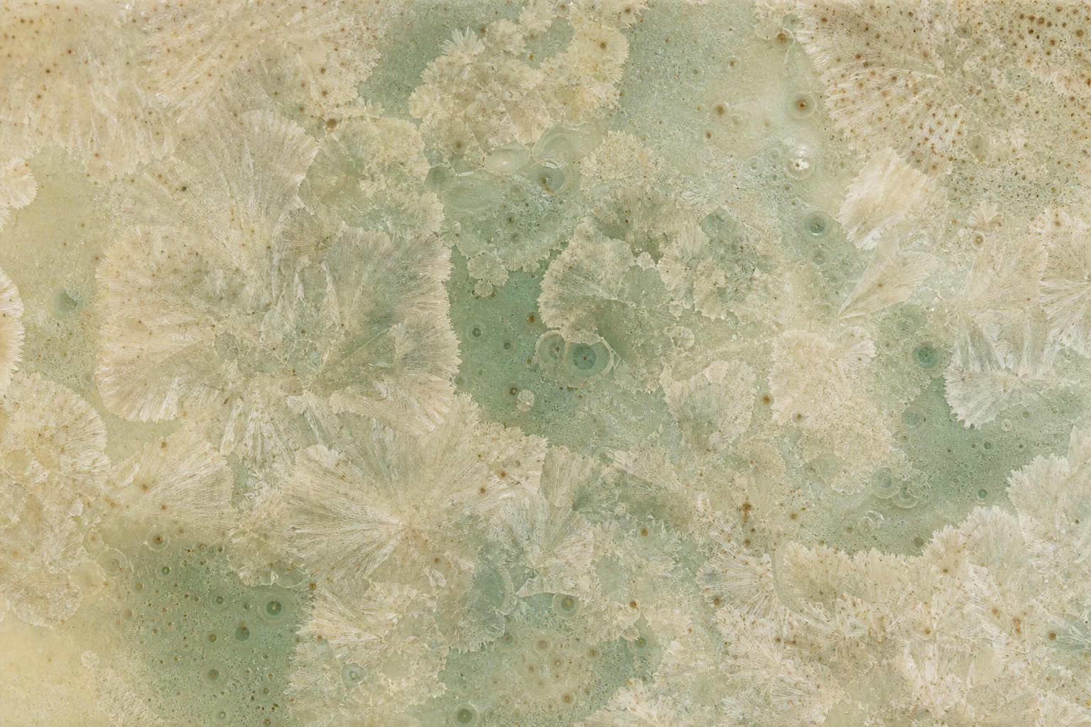 Preview for Ivory Sage Ceramic Glaze Texture Background
