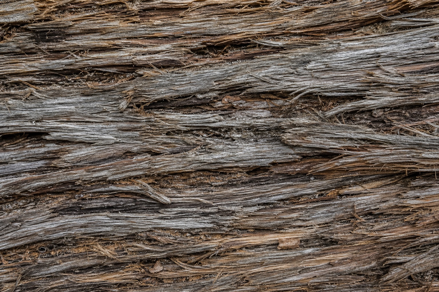 Preview for Weathered Cedar Bark Texture Background