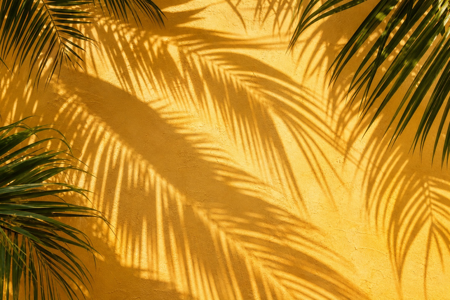 Preview for Sunny Yellow Palm Shadow Background