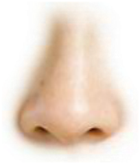 Preview for Glowing-human-nose-glitch-effect-noses-sticker-7fc32