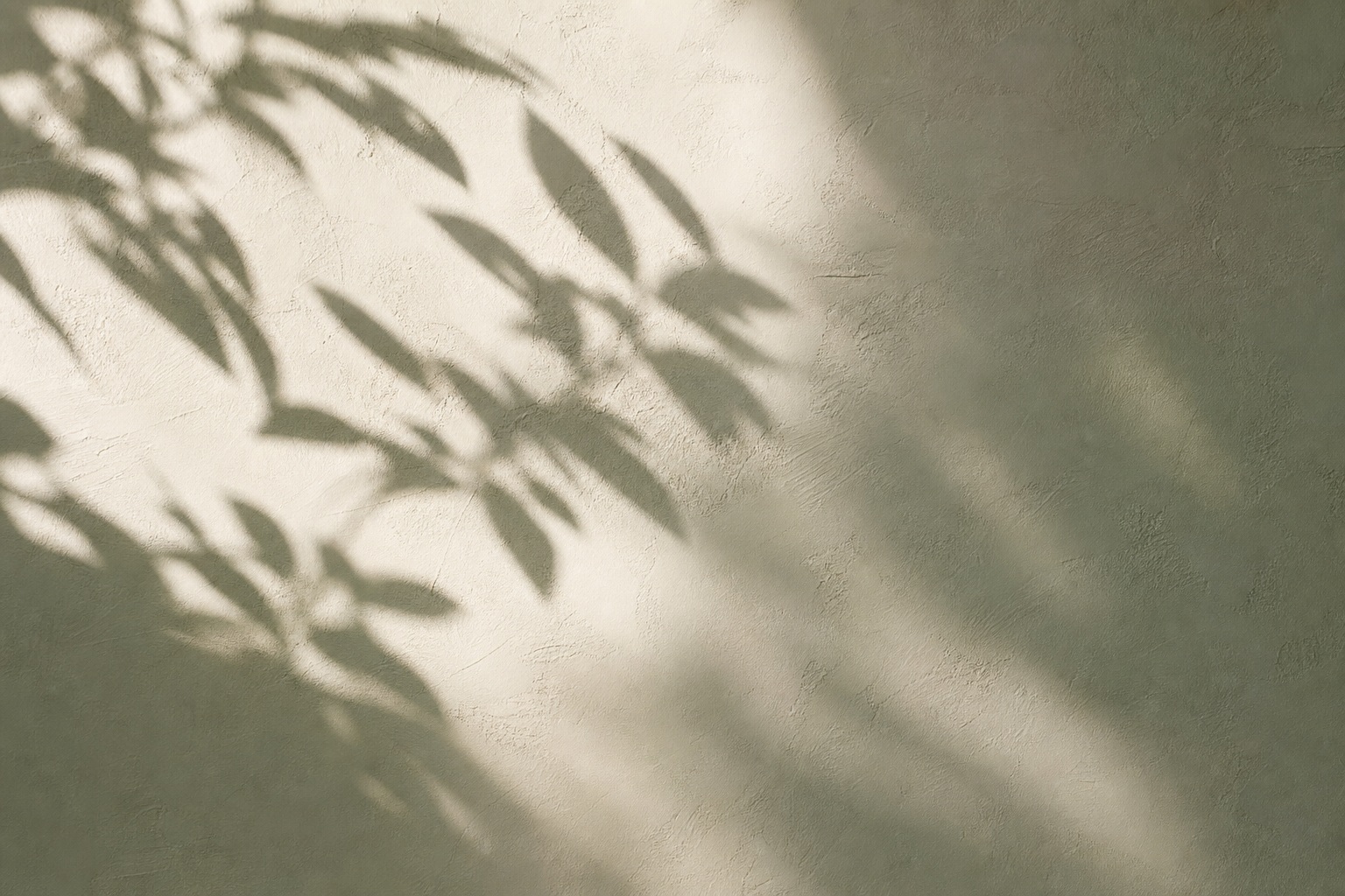 Preview for Leaf Shadows On Plaster Background