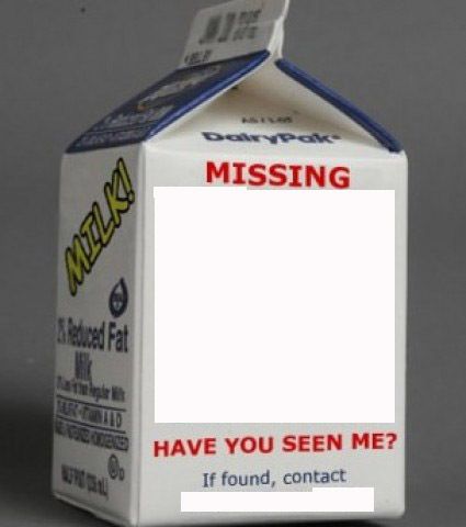 Preview for Missing-milk-carton-template-meme-background-1fe45