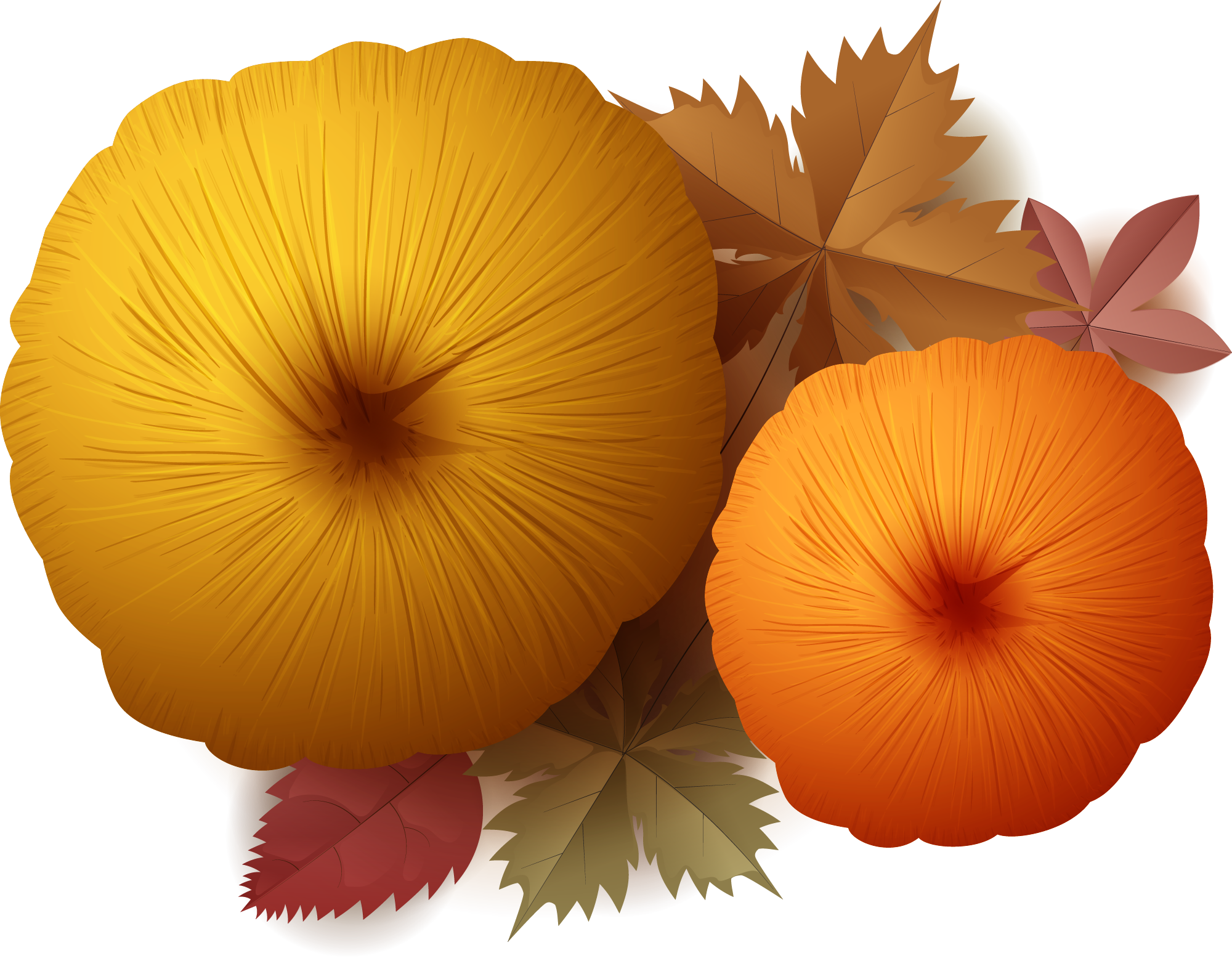 Preview for Autumn-pumpkins-leaves-illustration-fall-sticker-7d5c6