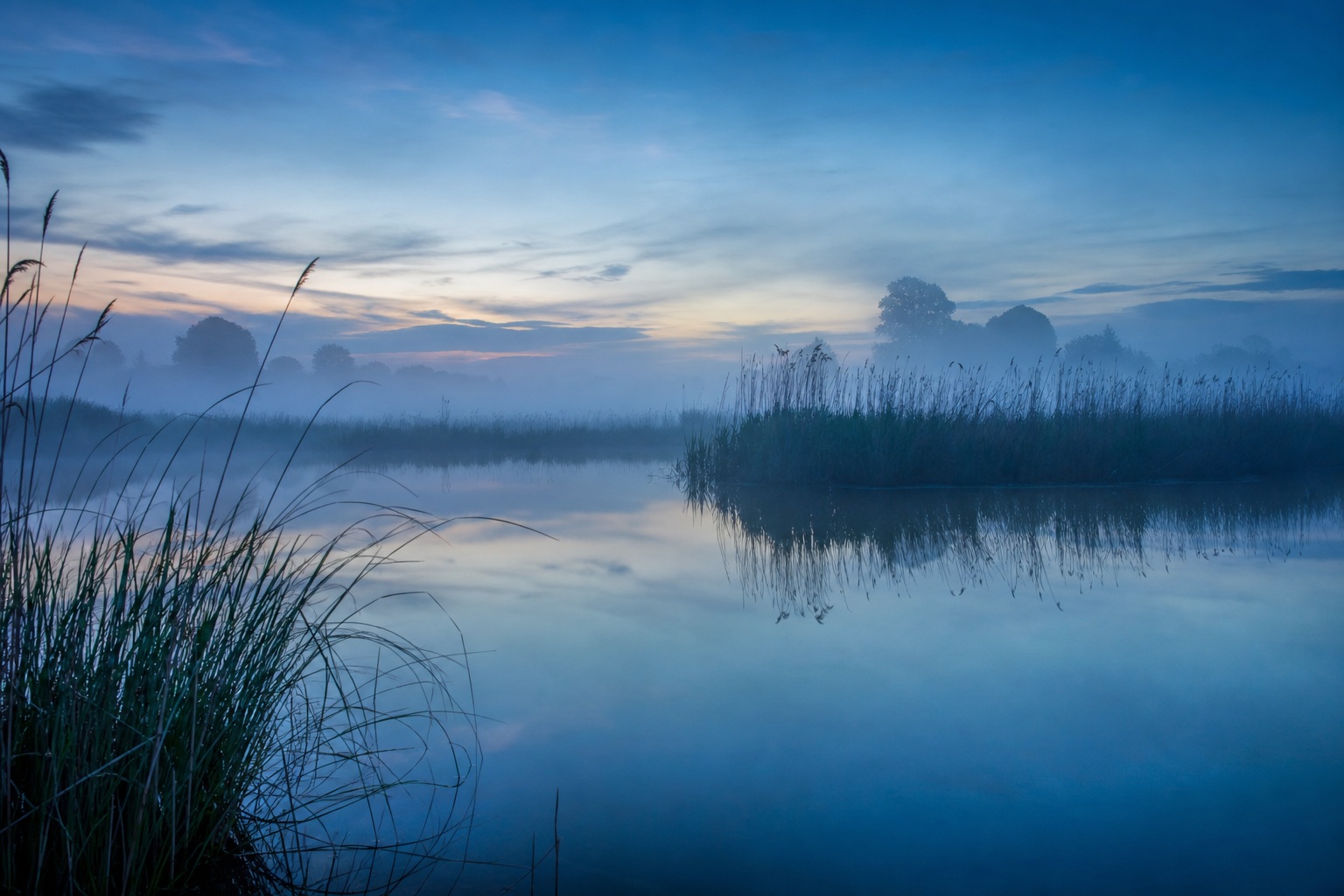 Preview for Misty Wetland Dawn Background