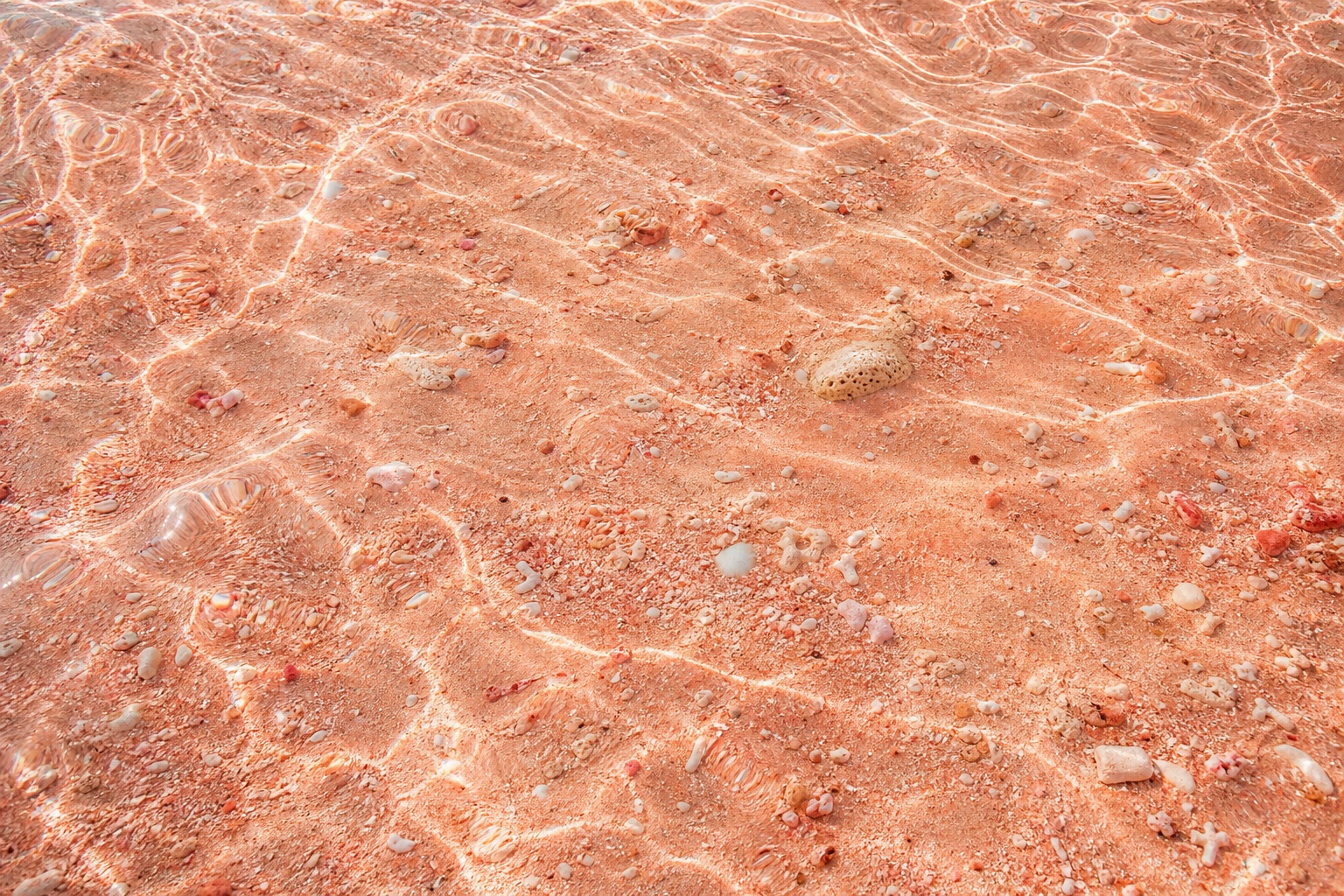Preview for Tidal Pool Texture Background