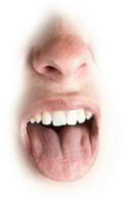 Preview for Man-sticking-out-tongue-mouths-sticker-24667