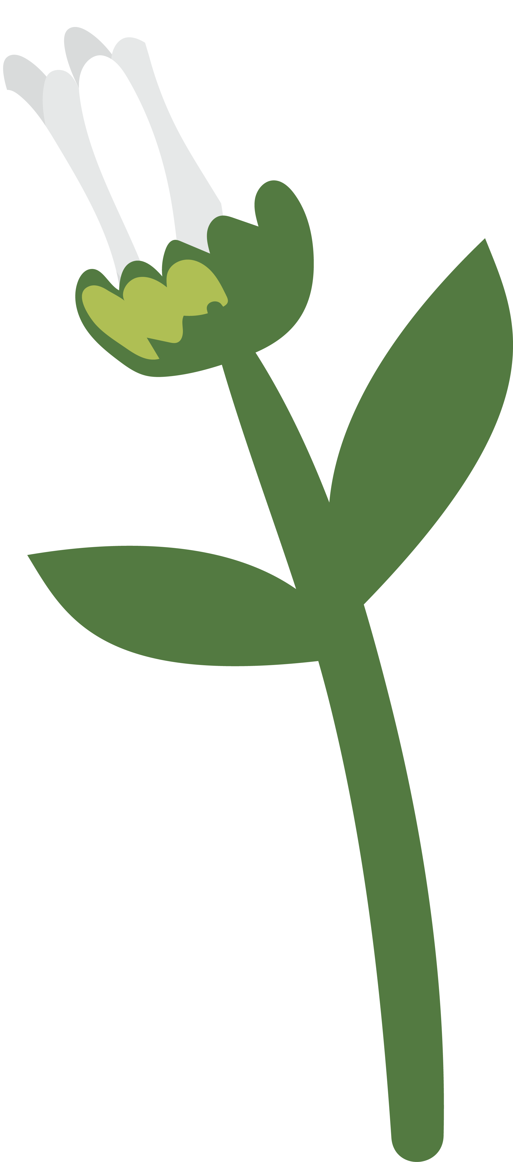 Preview for Simple-white-flower-illustration-spring-sticker-0693e