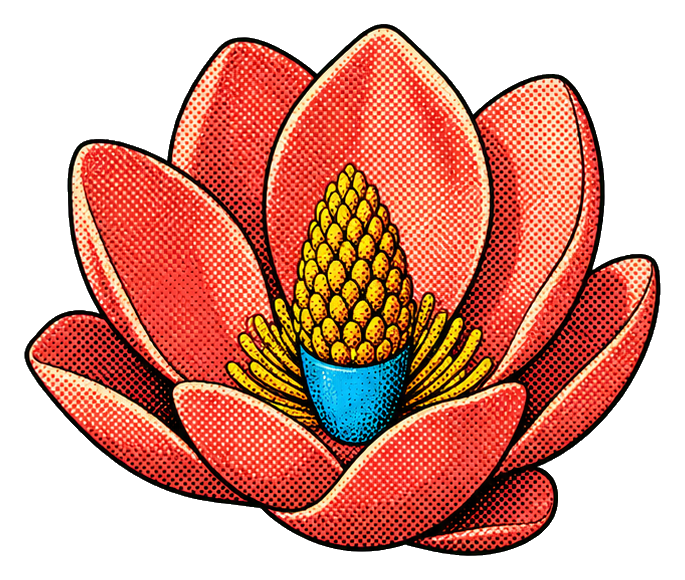 Preview for Retro Coral Magnolia Sticker