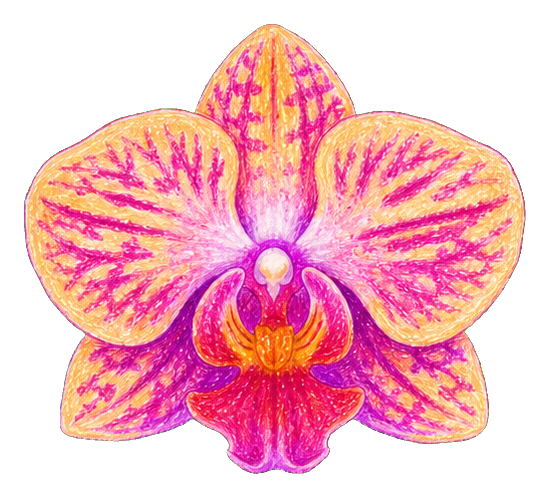 Preview for Pastel Crayon Butterfly Orchid Sticker