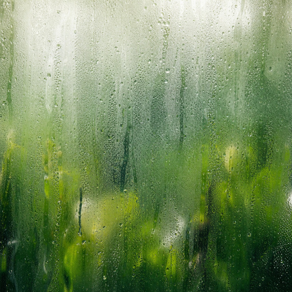 Green blurred frosted glass texture with soft light and surface droplets