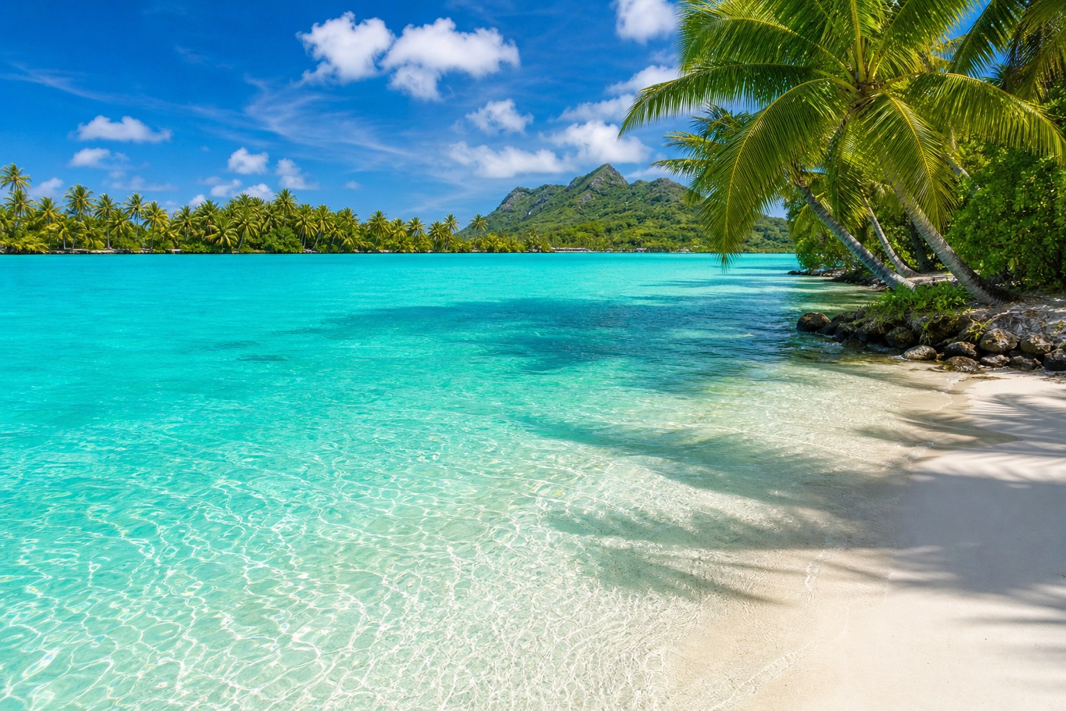 Preview for Tropical Lagoon Beach Background