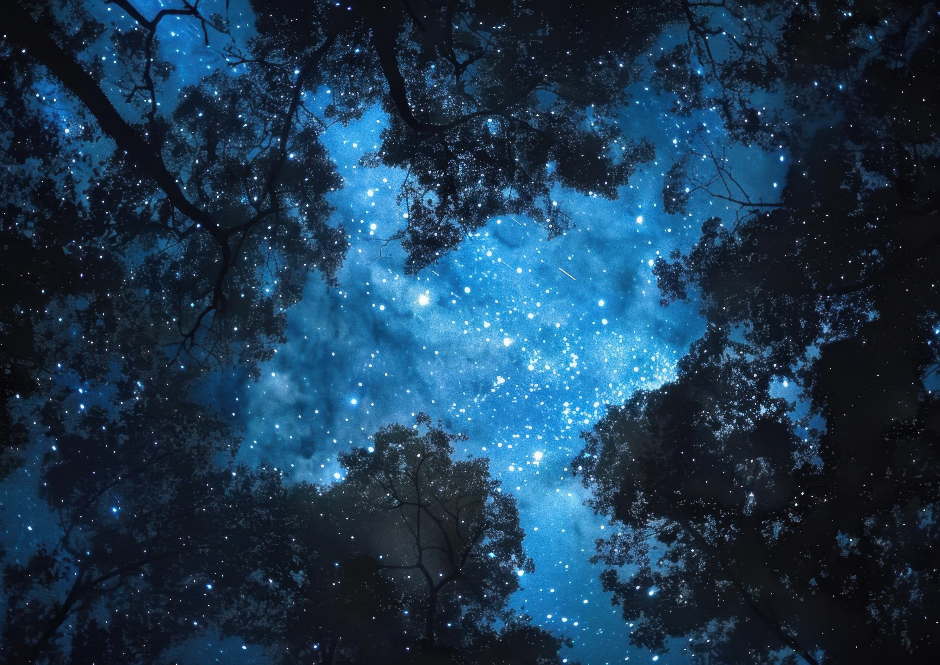 Preview for Starry-night-sky-through-trees-astrophotography-photo-background-0f7f3
