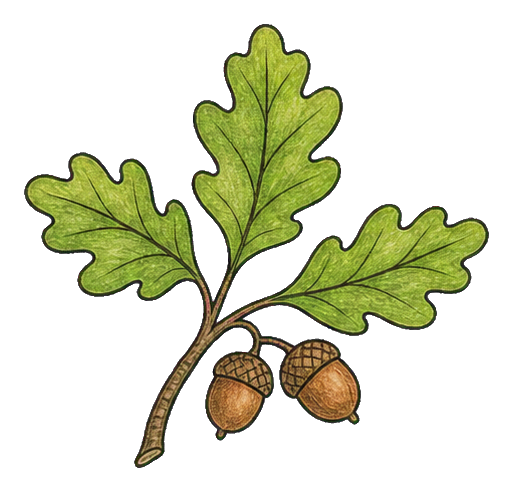 Preview for Acorn Oak Twig Sticker