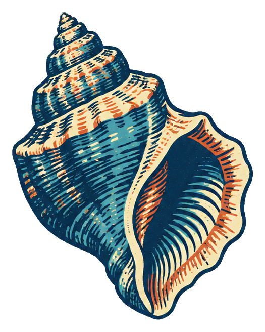 Preview for Linocut Seashells Whelk Shell