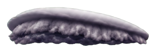Preview for Arcus Shelf Cloud Sticker
