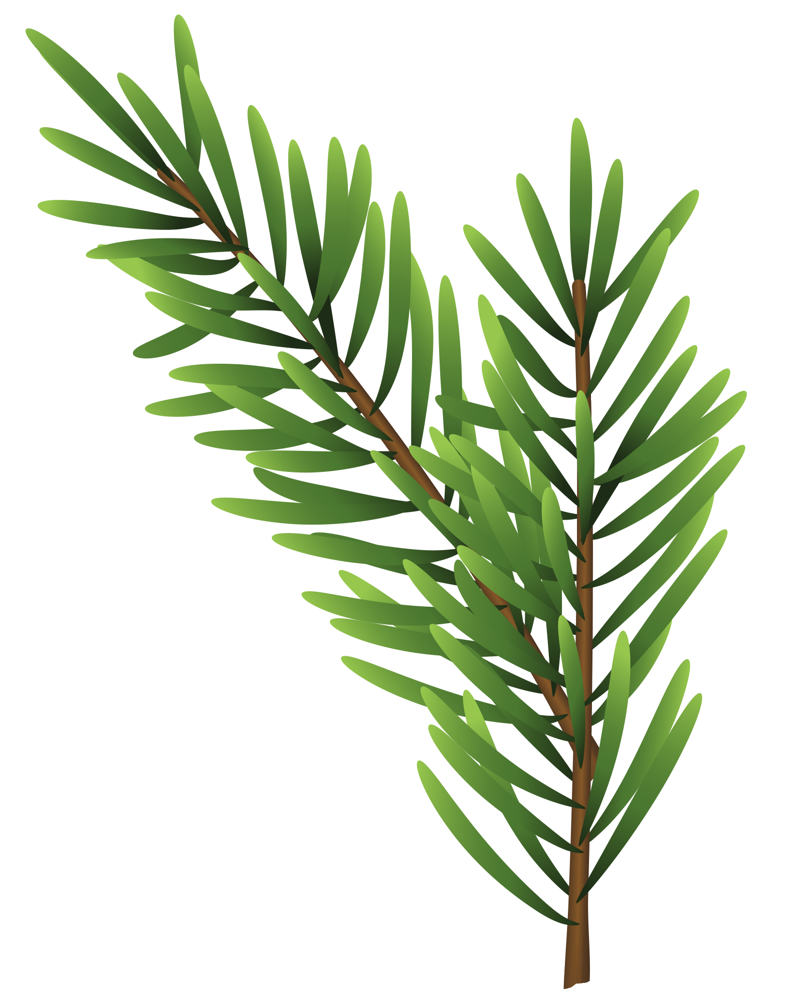 Preview for Evergreen-branch-image-holiday-design-sticker-f185f